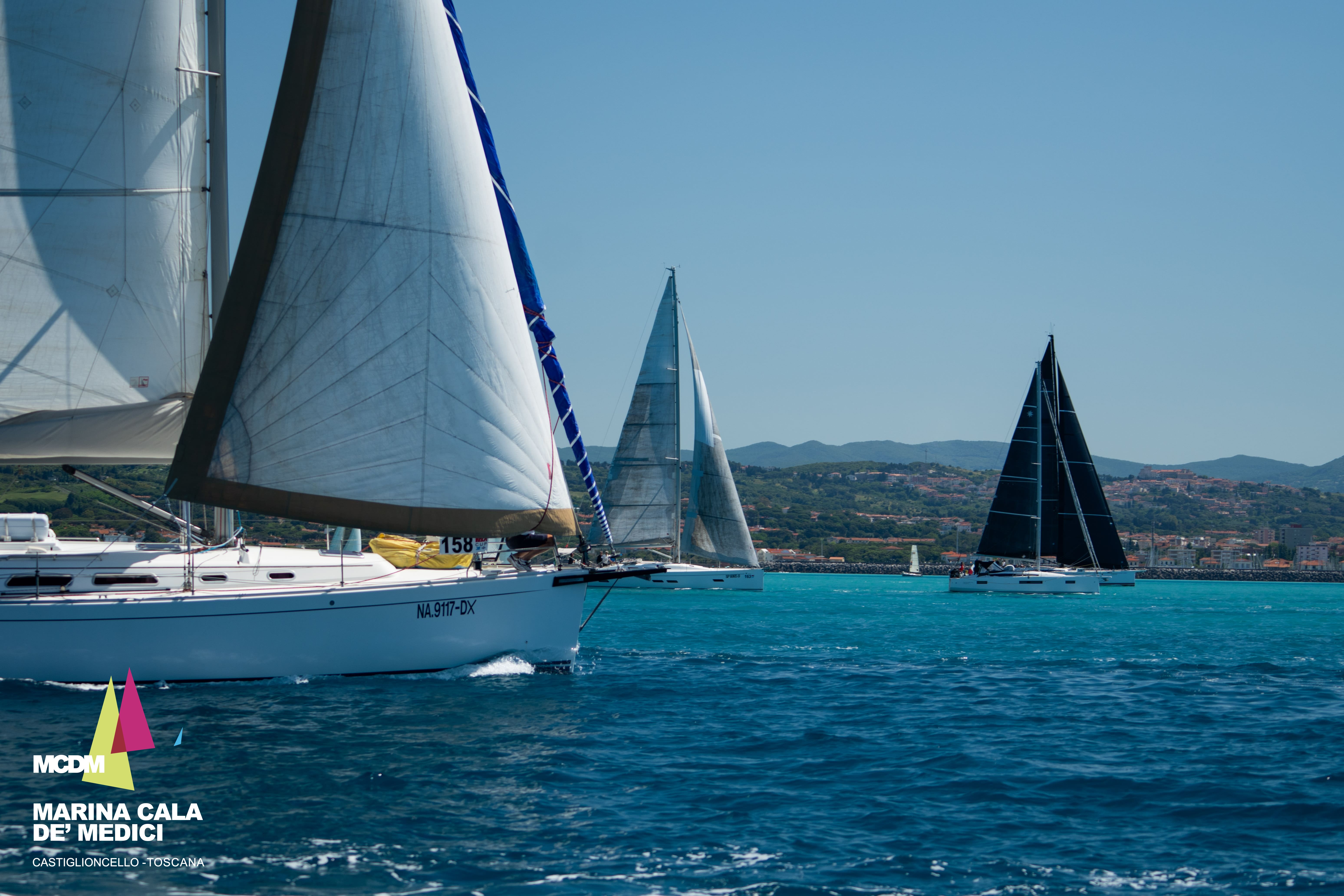 Vela Cup