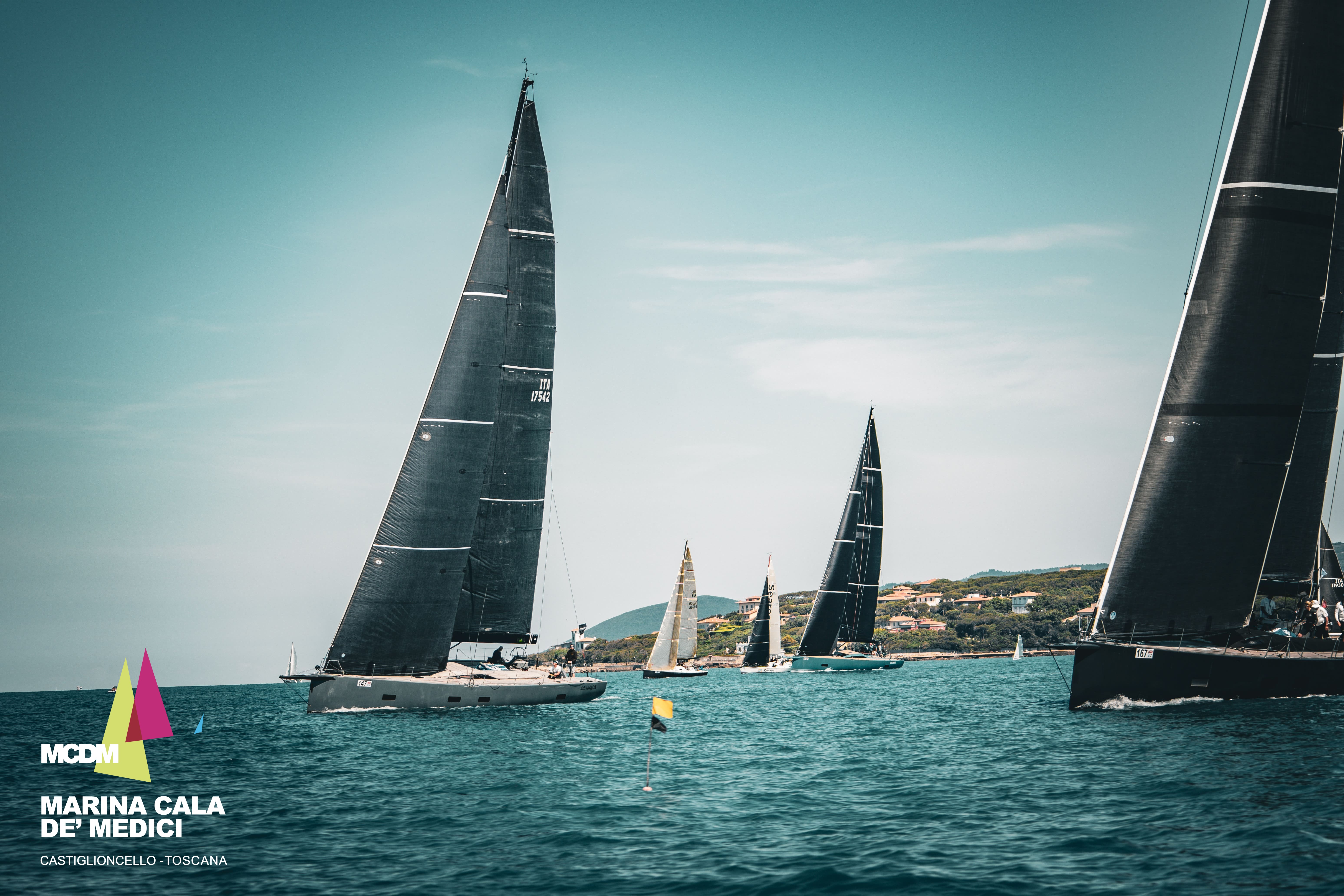 Vela Cup